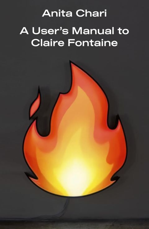 A User's Manual to Claire Fontaine