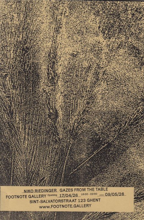 Footnote Zines - Niko Riedinger
