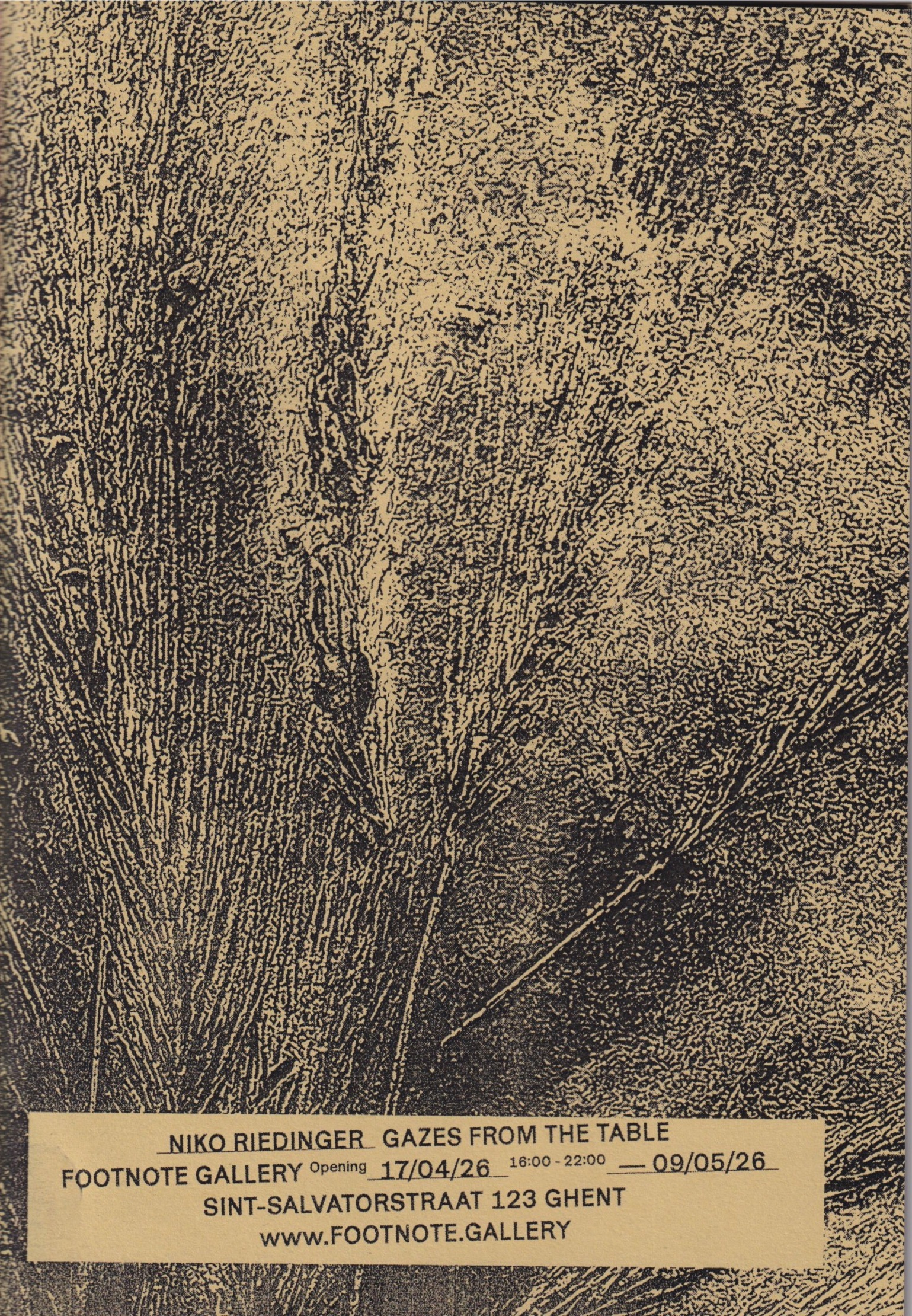 Footnote Zines - Niko Riedinger