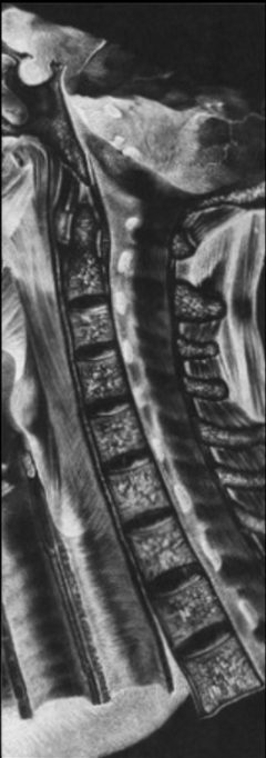 From the Root of Her Tongue — image 1