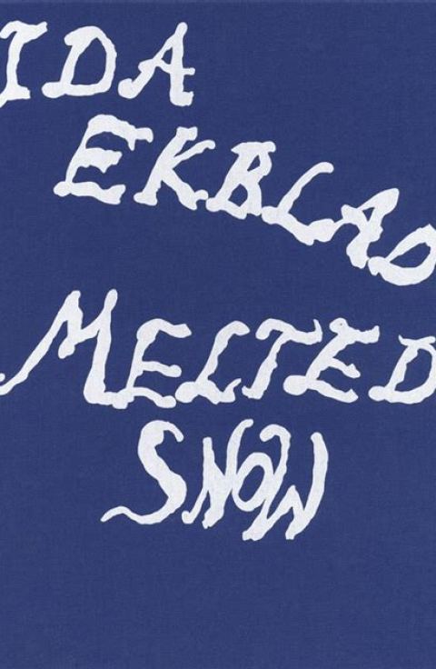 Melted Snow / Ida Ekblad