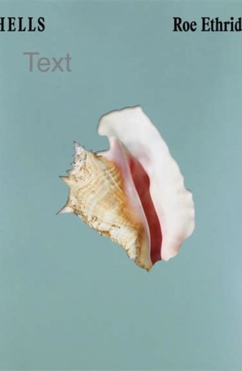 SHELLS / Roe Ethridge