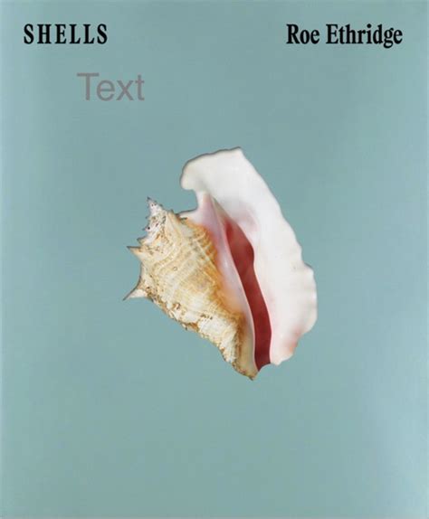 SHELLS / Roe Ethridge