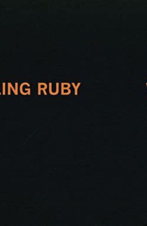 Sterling Ruby WIDW