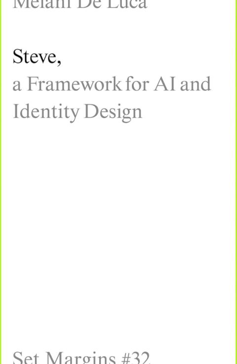 Steve, a Framework for AI and Identity Design