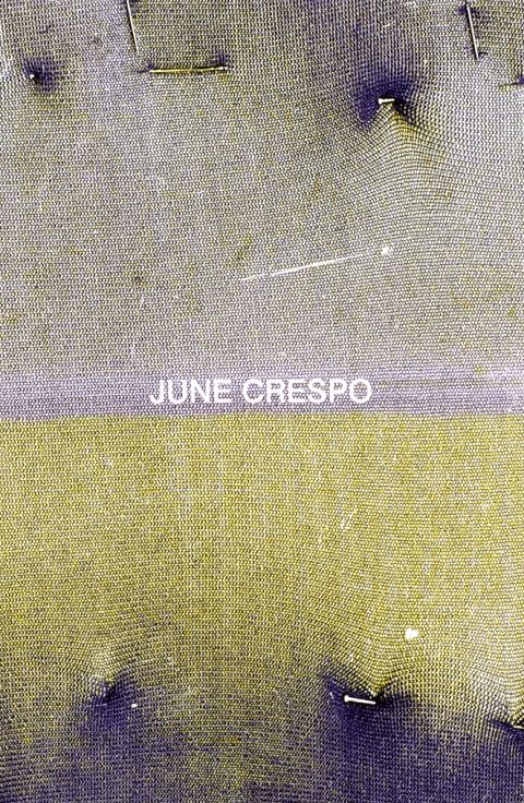 Vieron su casa hacerse campo / June Crespo