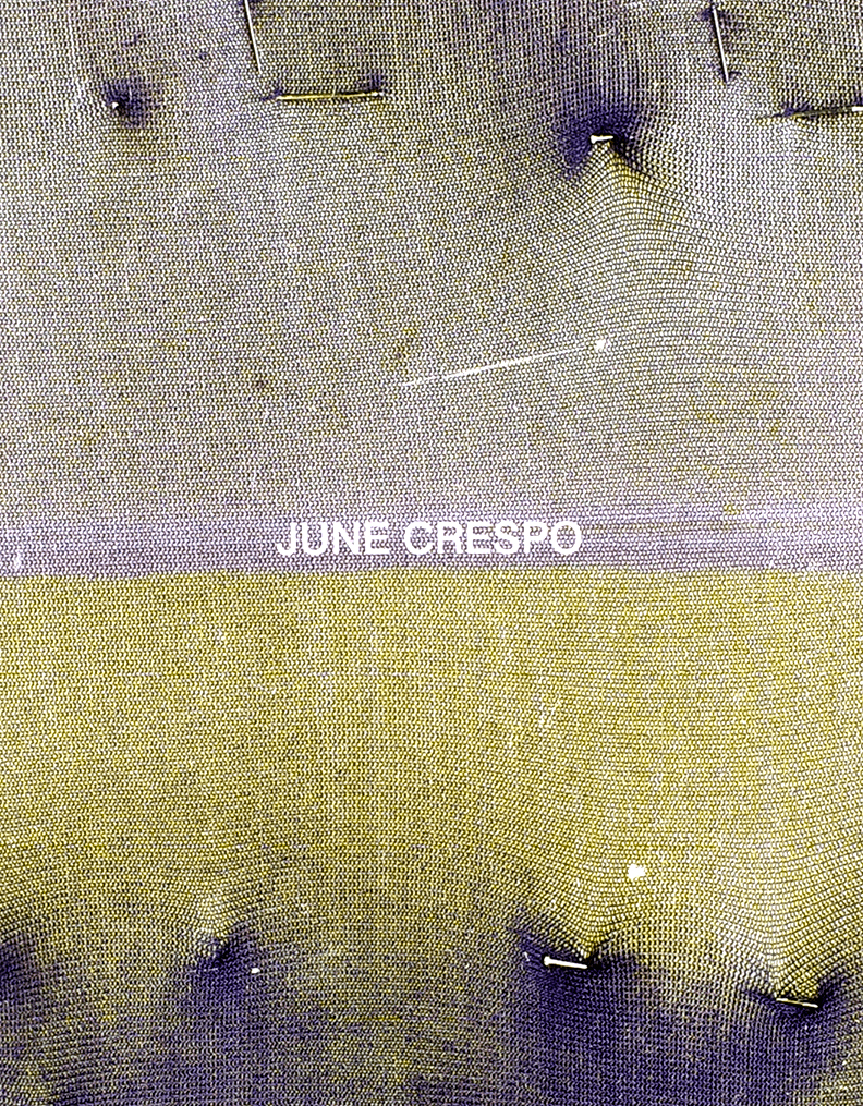 Vieron su casa hacerse campo / June Crespo