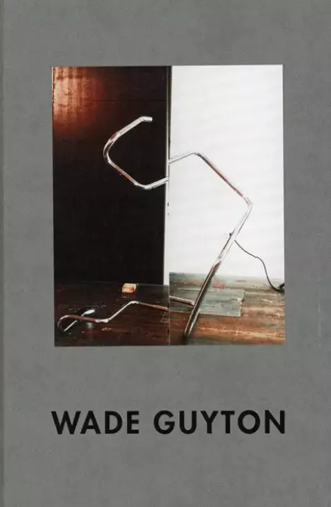 Trembley / Wade Guyton
