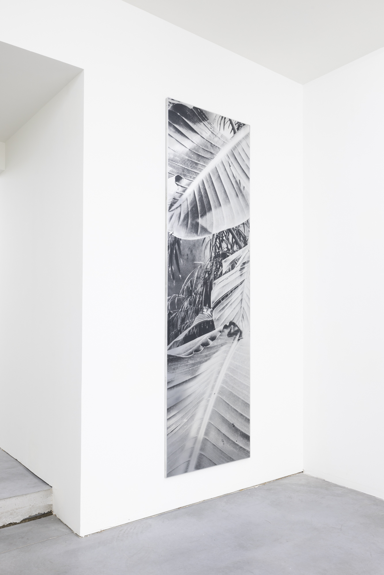 MONOCHROME / BRAM VANDERBEKE & SYBREN VANOVERBERGHE