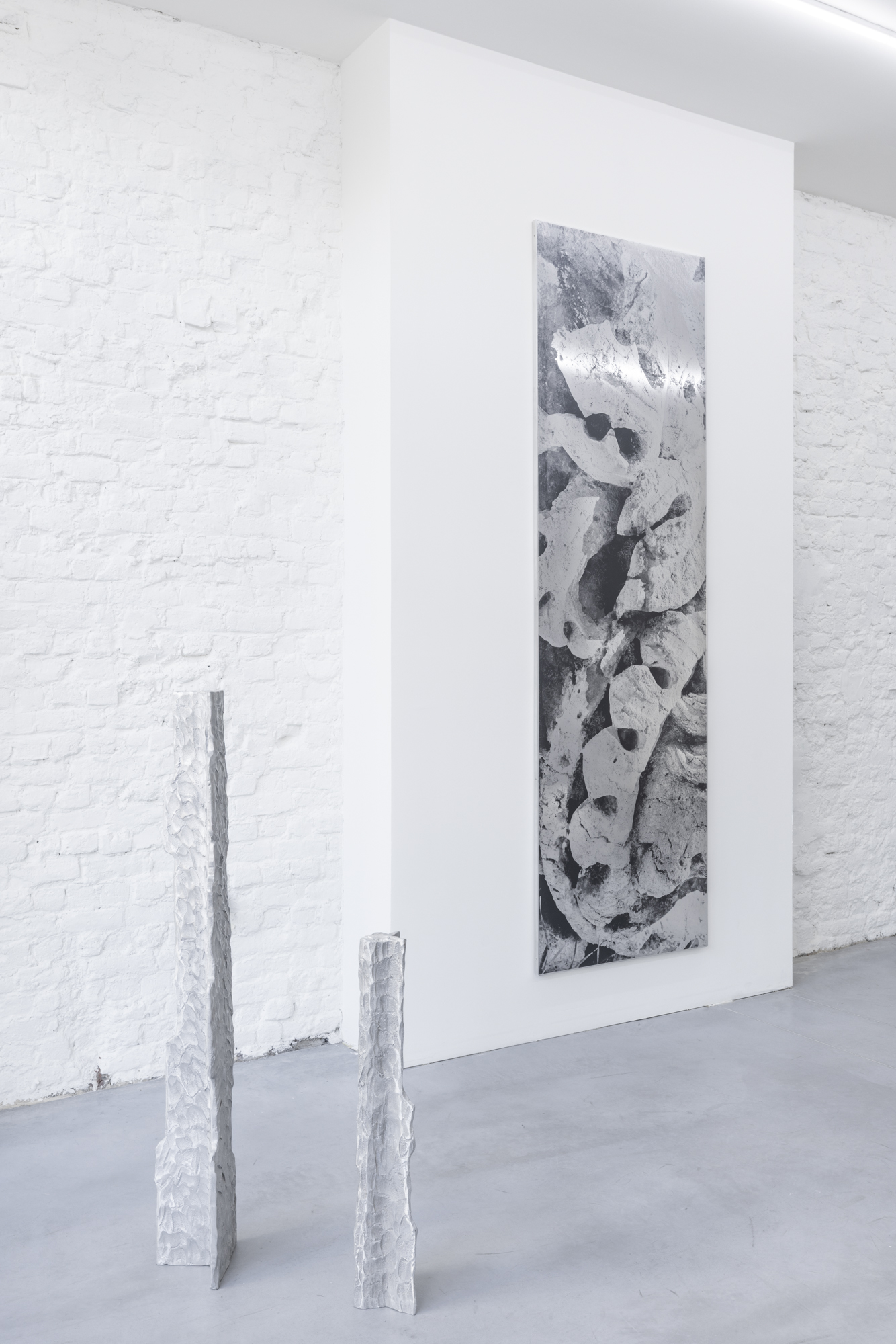MONOCHROME / BRAM VANDERBEKE & SYBREN VANOVERBERGHE
